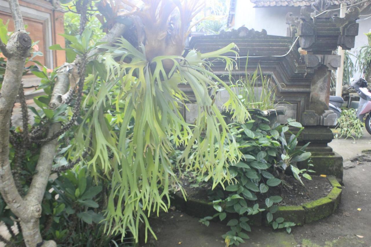 Umah De Arlika UBUD Bagian luar foto