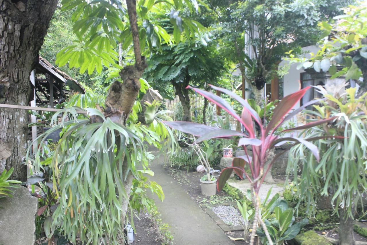Umah De Arlika UBUD Bagian luar foto